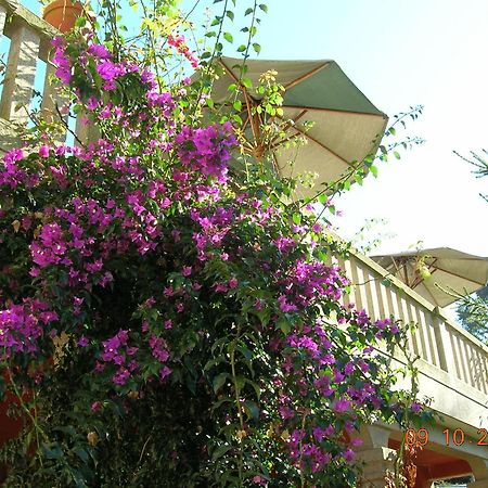 As Adegas Guest House Poio Exterior photo
